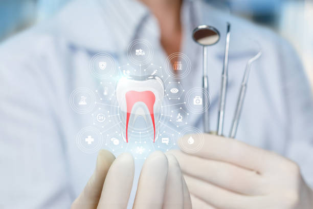Trusted Mount Healthy, OH Holistic Dental Care Services Experts
