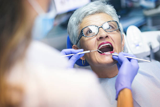Professional Holistic Dental Care Services in Mount Healthy, OH